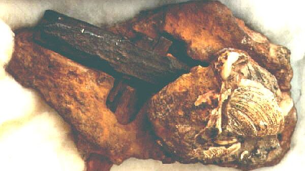 Shown here is an alleged hammer that is hundreds of millions of years old.