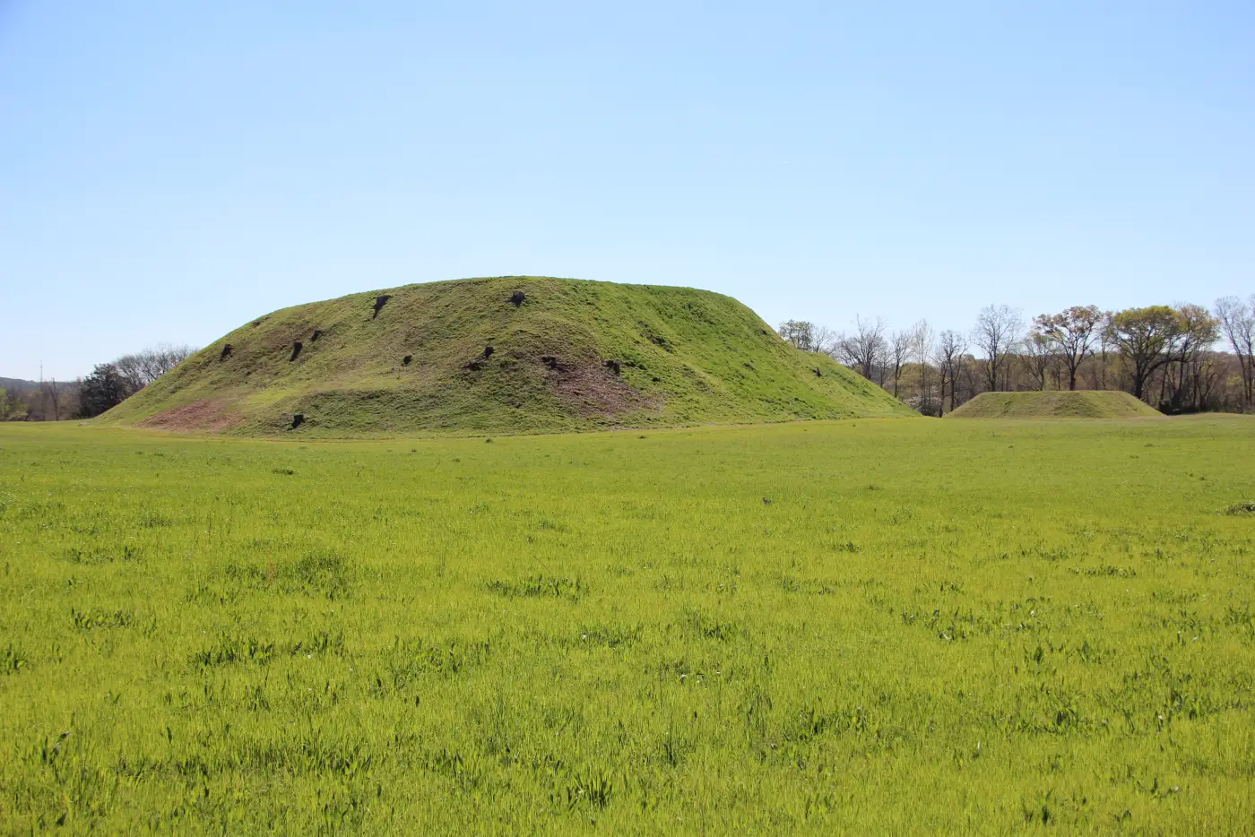 Grass-covered platform mounds A and C at Etowah Indian Mounds in Georgia.